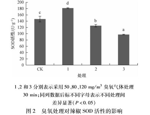 臭氧对辣椒种子萌发及生理指标的影响