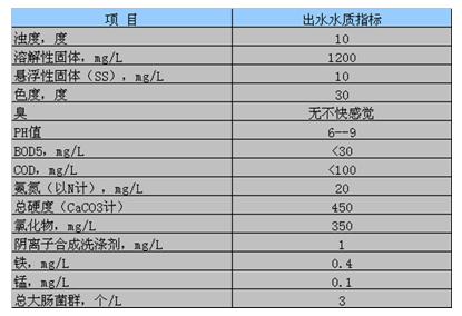 臭氧污水现场